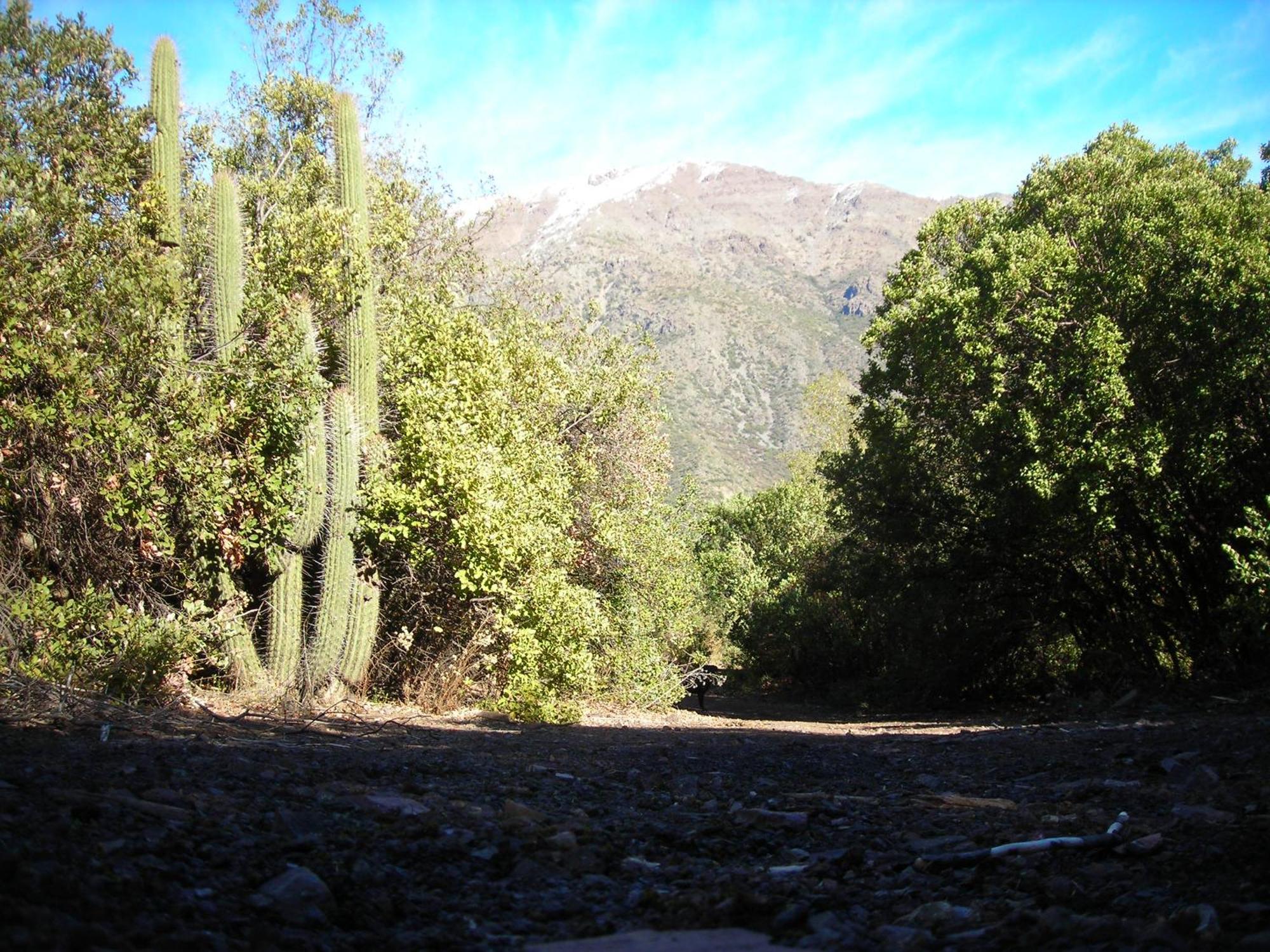 Las Lomitas De Guayacan, Cabanas Y Spa ซานโคเซ เด ไมย์โป ภายนอก รูปภาพ